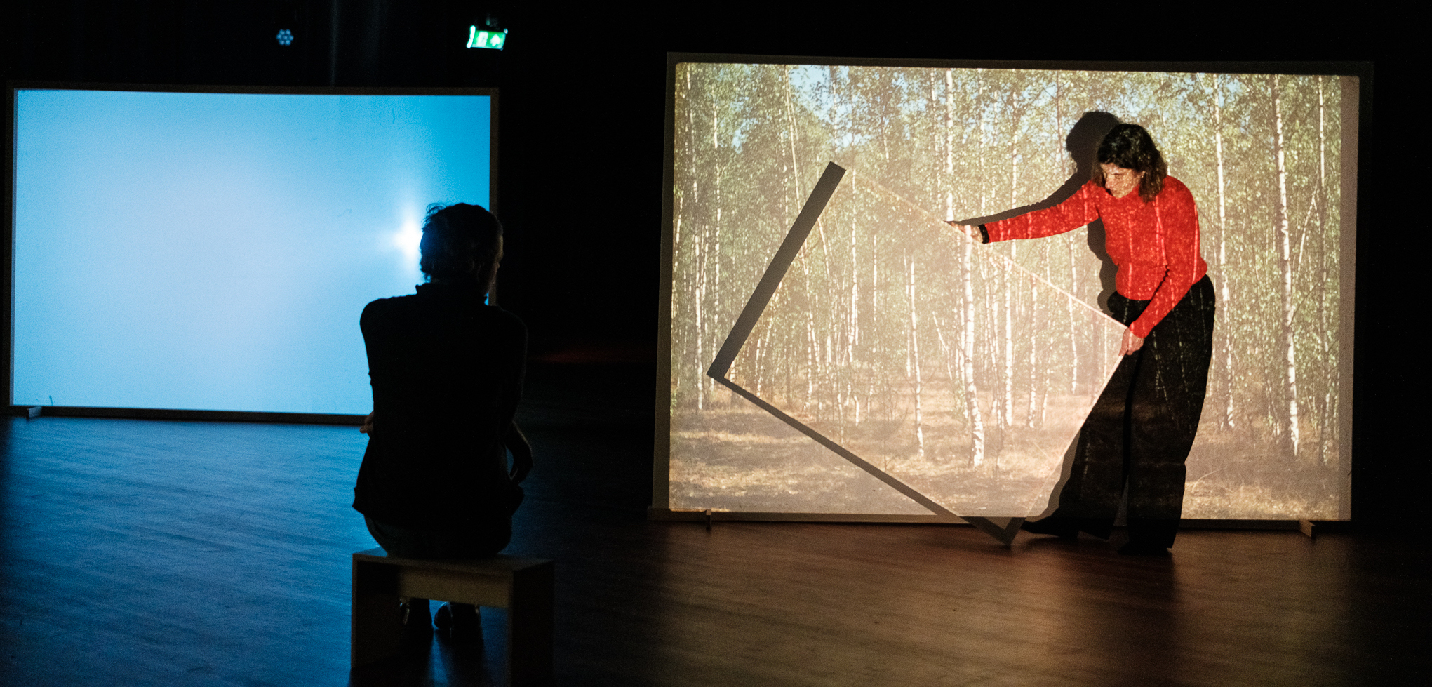 Domein voor Kunstkritiek